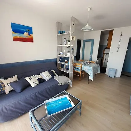 Appartement 4 Pers, Loggia, Vue Mer, Petits Chiens Admis, Ascenseur - Fr-1-324A-11 Daire